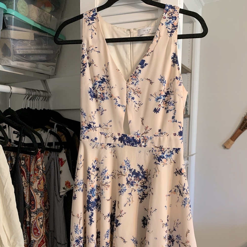 Ali & Jay Flowery Light Pink Dress